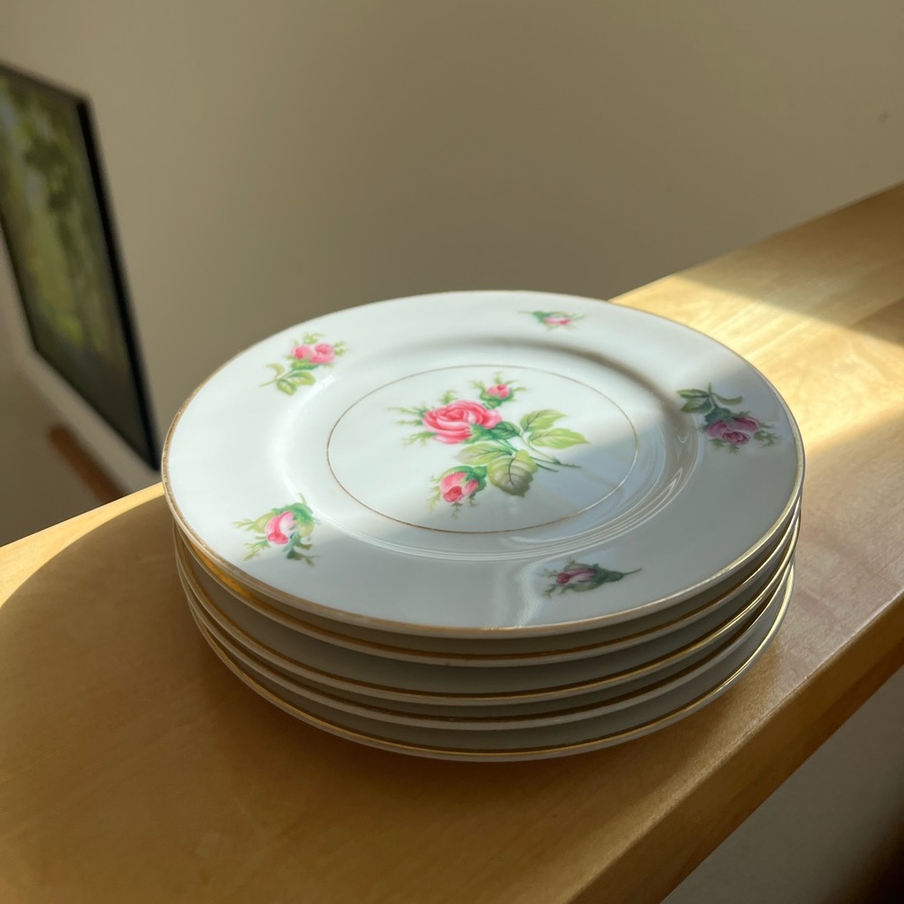 Pink Dainty Rose Porcelain Plate Set of Five!